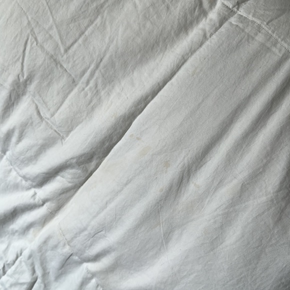 [Price Reduced] Blue bridge 75% down comforter (Queen size) $200 off！！ - Picture 4 of 8